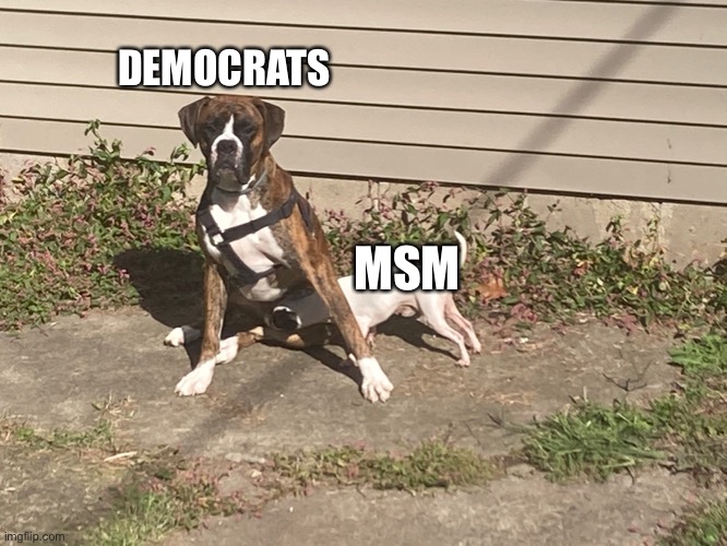 The Plain Truth | DEMOCRATS; MSM | image tagged in dems,mainstream media | made w/ Imgflip meme maker