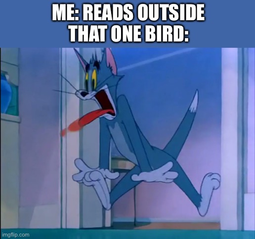  ME: READS OUTSIDE
THAT ONE BIRD: | image tagged in tom and jerry,tom and jerry meme,screaming,screaming bird,screaming cat,quiet | made w/ Imgflip meme maker