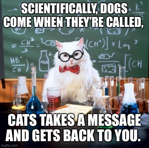 Chemistry Cat | SCIENTIFICALLY, DOGS COME WHEN THEY’RE CALLED, CATS TAKES A MESSAGE AND GETS BACK TO YOU. | image tagged in memes,chemistry cat | made w/ Imgflip meme maker