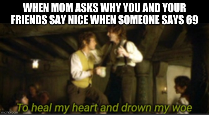 nice | WHEN MOM ASKS WHY YOU AND YOUR FRIENDS SAY NICE WHEN SOMEONE SAYS 69 | image tagged in to heal my heart and drown my woe | made w/ Imgflip meme maker