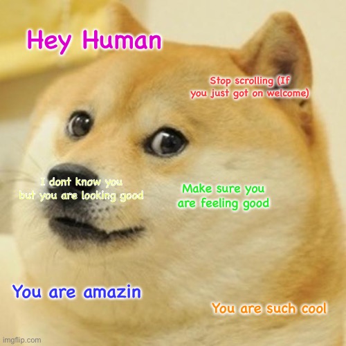 Sorry if repost i want people to be happy | Hey Human; Stop scrolling (If you just got on welcome); I dont know you but you are looking good; Make sure you are feeling good; You are amazin; You are such cool | image tagged in memes,doge | made w/ Imgflip meme maker