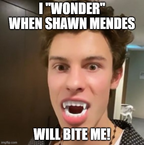 Shawn Mendes With Fangs | I "WONDER" WHEN SHAWN MENDES; WILL BITE ME! | image tagged in shawn mendes,fangs,bite,vampire,funny,wonder | made w/ Imgflip meme maker