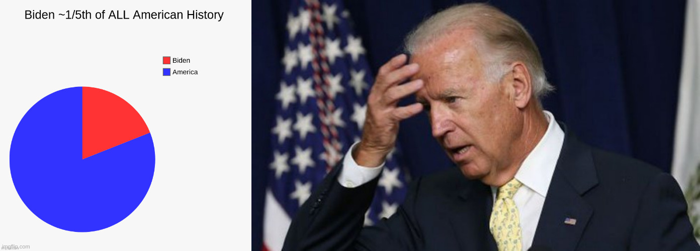 1/5th of american history biden | image tagged in joe biden worries | made w/ Imgflip meme maker