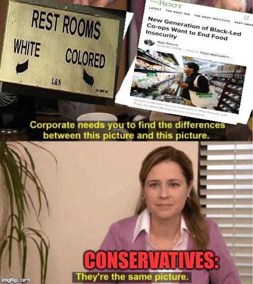 Black entrepreneurship and Jim Crow segregation are not actually the same thing | CONSERVATIVES: | image tagged in they re the same thing | made w/ Imgflip meme maker