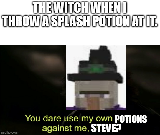 Minecraft Meme 1 | THE WITCH WHEN I THROW A SPLASH POTION AT IT. POTIONS; STEVE? | image tagged in you dare use my own spells against me | made w/ Imgflip meme maker