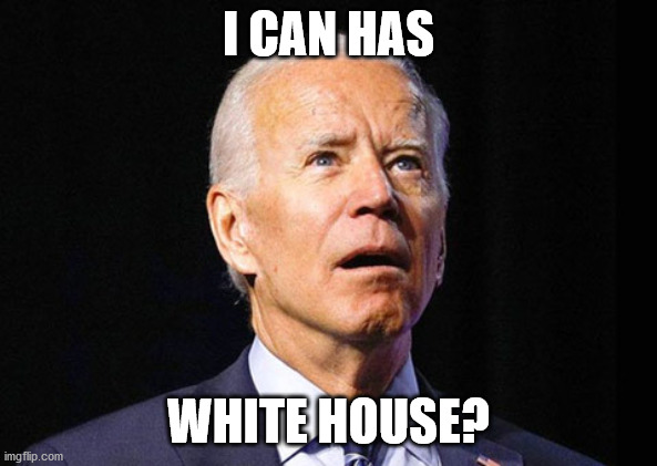Biden can has cheesburgr | I CAN HAS; WHITE HOUSE? | image tagged in funny,biden,trump,i can has cheezburger cat,election 2020 | made w/ Imgflip meme maker