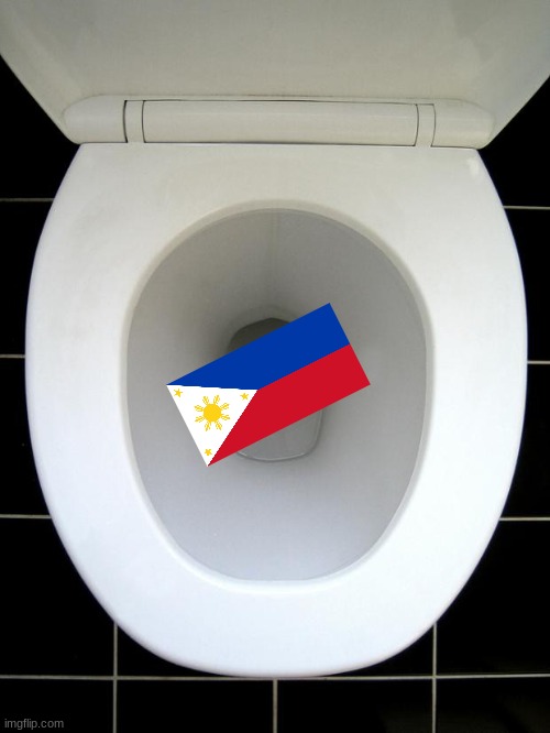 the Philippines is an evil country that treats people like North Korea | image tagged in toilet,funny | made w/ Imgflip meme maker