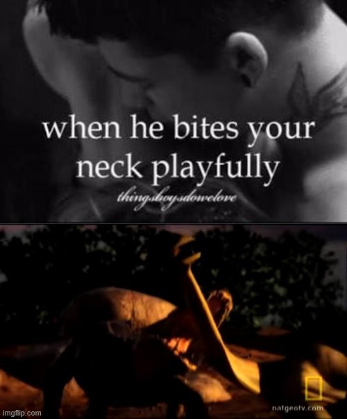 image tagged in when he bites your neck playfully,paleo meme,paleo,memes | made w/ Imgflip meme maker