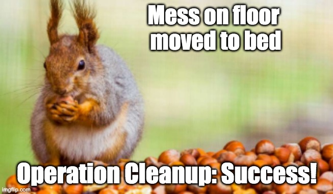 Winning a pile | Mess on floor 
moved to bed; Operation Cleanup: Success! | image tagged in made a pile,mess,squirrel | made w/ Imgflip meme maker