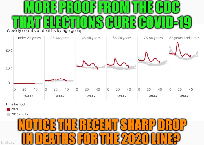 It's safe to vote for Trump. Biden votes will cause excess deaths blamed on Trump. | MORE PROOF FROM THE CDC THAT ELECTIONS CURE COVID-19; NOTICE THE RECENT SHARP DROP IN DEATHS FOR THE 2020 LINE? | image tagged in elections,covid-19,coronavirus,truth | made w/ Imgflip meme maker