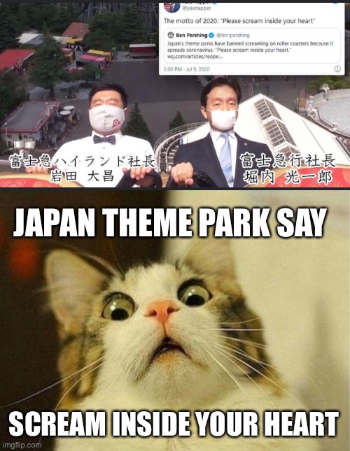 Coronavirus prevention | JAPAN THEME PARK SAY; SCREAM INSIDE YOUR HEART | image tagged in memes,scared cat,coronavirus,covid-19 | made w/ Imgflip meme maker