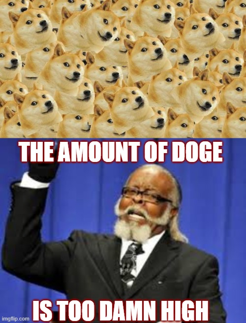 THE AMOUNT OF DOGE; IS TOO DAMN HIGH | image tagged in memes,multi doge | made w/ Imgflip meme maker