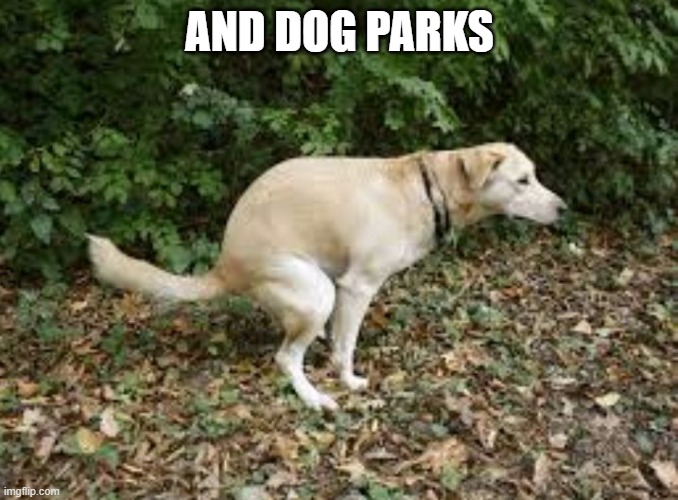 Dog pooping  | AND DOG PARKS | image tagged in dog pooping | made w/ Imgflip meme maker