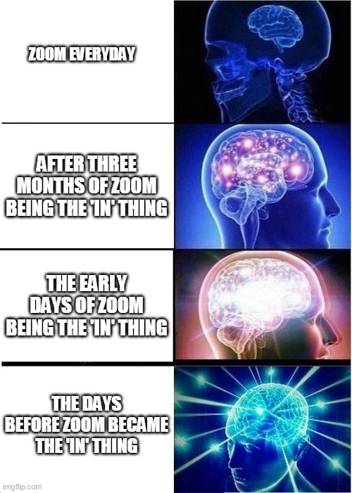 My brain now vs my brain before months of endless zoom meetings | ZOOM EVERYDAY; AFTER THREE MONTHS OF ZOOM BEING THE 'IN' THING; THE EARLY DAYS OF ZOOM BEING THE 'IN' THING; THE DAYS BEFORE ZOOM BECAME THE 'IN' THING | image tagged in memes,zoom,brain dead,brain,shrinkage | made w/ Imgflip meme maker