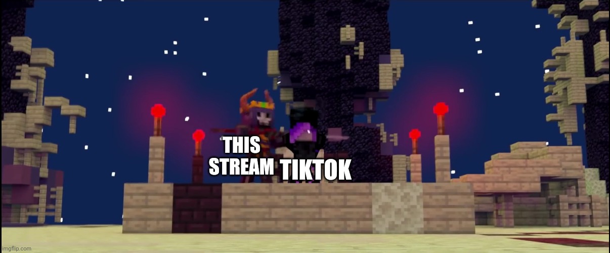 TikTok needs to die | THIS STREAM; TIKTOK | image tagged in tiktok,tik tok | made w/ Imgflip meme maker