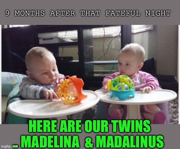 9 MONTHS AFTER THAT FATEFUL NIGHT HERE ARE OUR TWINS .. MADELINA  & MADALINUS | made w/ Imgflip meme maker