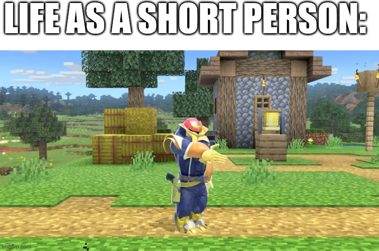 Short Falcon | LIFE AS A SHORT PERSON: | image tagged in smash bros,short,relatable | made w/ Imgflip meme maker