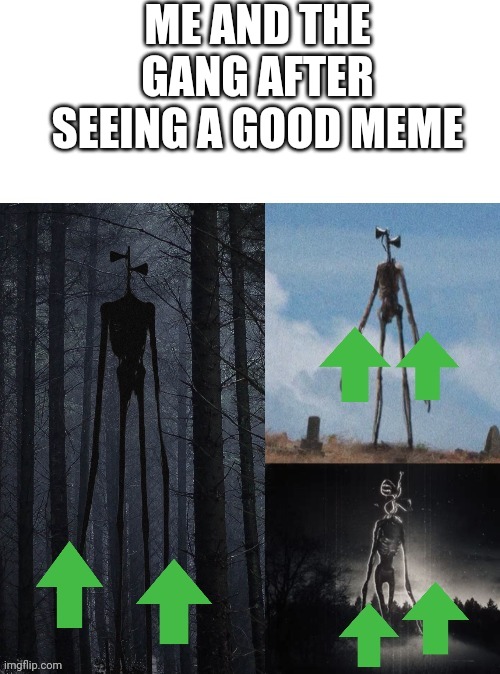 ME AND THE GANG AFTER SEEING A GOOD MEME | image tagged in siren head,ancient siren head,blank white template,upvote,upvotes,memes | made w/ Imgflip meme maker