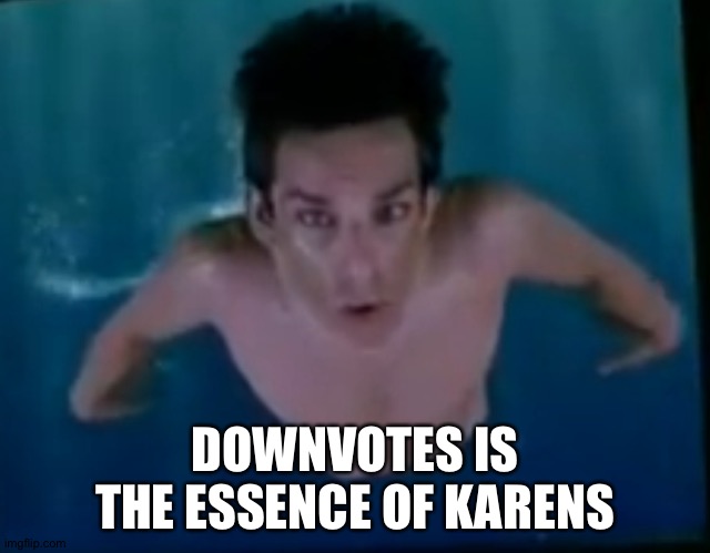 Moisture is the essence of wetness | DOWNVOTES IS THE ESSENCE OF KARENS | image tagged in moisture is the essence of wetness | made w/ Imgflip meme maker