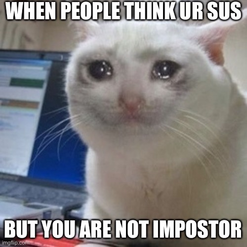 Sad cat among us | WHEN PEOPLE THINK UR SUS; BUT YOU ARE NOT IMPOSTOR | image tagged in crying cat | made w/ Imgflip meme maker