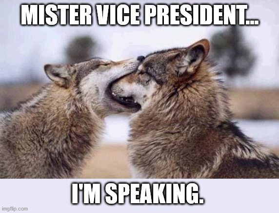 Mister vice president | MISTER VICE PRESIDENT... I'M SPEAKING. | image tagged in political meme,humor | made w/ Imgflip meme maker