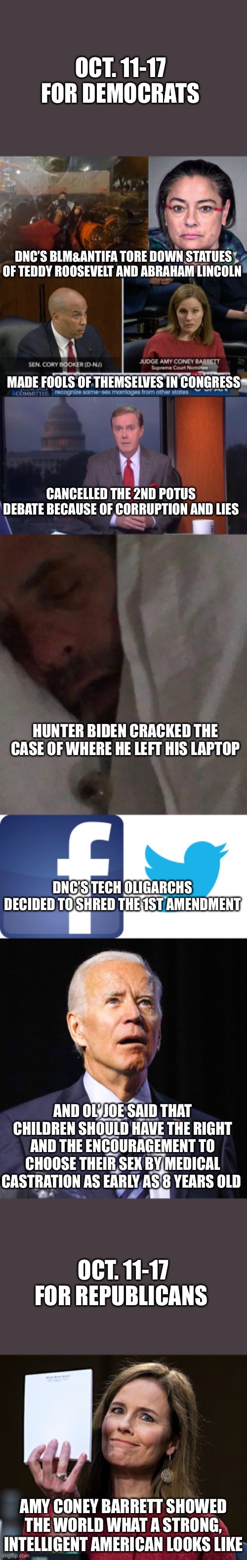 DNC- Corrupt, Violent, Stupid | OCT. 11-17 FOR DEMOCRATS; DNC’S BLM&ANTIFA TORE DOWN STATUES OF TEDDY ROOSEVELT AND ABRAHAM LINCOLN; MADE FOOLS OF THEMSELVES IN CONGRESS; CANCELLED THE 2ND POTUS DEBATE BECAUSE OF CORRUPTION AND LIES; HUNTER BIDEN CRACKED THE CASE OF WHERE HE LEFT HIS LAPTOP; DNC’S TECH OLIGARCHS DECIDED TO SHRED THE 1ST AMENDMENT; AND OL’ JOE SAID THAT CHILDREN SHOULD HAVE THE RIGHT AND THE ENCOURAGEMENT TO CHOOSE THEIR SEX BY MEDICAL CASTRATION AS EARLY AS 8 YEARS OLD; OCT. 11-17 FOR REPUBLICANS; AMY CONEY BARRETT SHOWED THE WORLD WHAT A STRONG, INTELLIGENT AMERICAN LOOKS LIKE | image tagged in twitter birds says,facebook,joe biden,amy coney barrett blank notes,hunter biden crack pipe | made w/ Imgflip meme maker