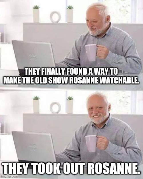The Connors - its Rosanne without Rosanne | THEY FINALLY FOUND A WAY TO MAKE THE OLD SHOW ROSANNE WATCHABLE. THEY TOOK OUT ROSANNE. | image tagged in memes,hide the pain harold,ok boomer,tv shows | made w/ Imgflip meme maker