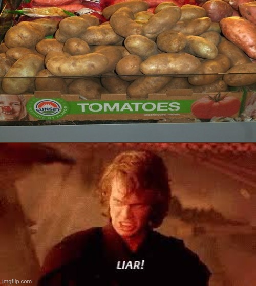 Those are not tomatoes. | image tagged in anakin liar,funny,memes,potatoes,tomatoes,you had one job | made w/ Imgflip meme maker
