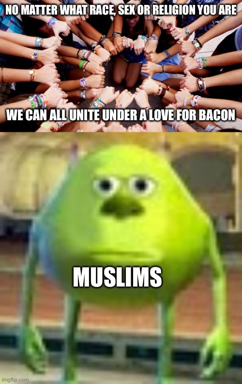 Sorry I didn’t know where else to put this | NO MATTER WHAT RACE, SEX OR RELIGION YOU ARE; WE CAN ALL UNITE UNDER A LOVE FOR BACON; MUSLIMS | image tagged in the call for unity,sully wazowski,funny,bacon,controversial | made w/ Imgflip meme maker