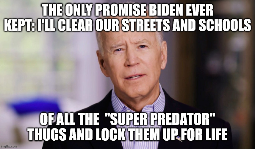 Joe Biden 2020 | THE ONLY PROMISE BIDEN EVER KEPT: I'LL CLEAR OUR STREETS AND SCHOOLS OF ALL THE  "SUPER PREDATOR" THUGS AND LOCK THEM UP FOR LIFE | image tagged in joe biden 2020 | made w/ Imgflip meme maker