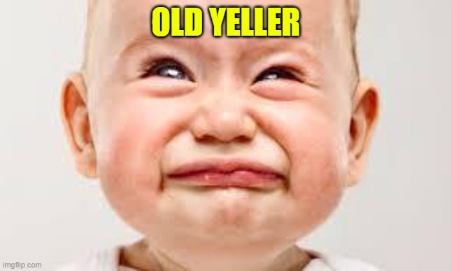 upset baby | OLD YELLER | image tagged in upset baby | made w/ Imgflip meme maker