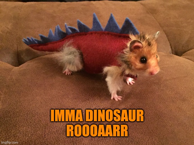 DEADLY HAMSTER | IMMA DINOSAUR
ROOOAARR | image tagged in hamster,halloween,spooktober,cute animals | made w/ Imgflip meme maker