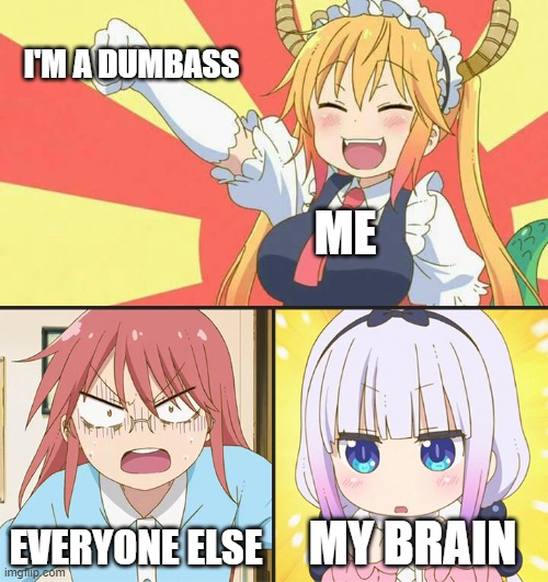 I Honestly Feel More Like an Idiot Than I Do a Smart Person... | I'M A DUMBASS; ME; EVERYONE ELSE; MY BRAIN | image tagged in dragon maid toothless meme,anime,memes,dumbass,brain | made w/ Imgflip meme maker