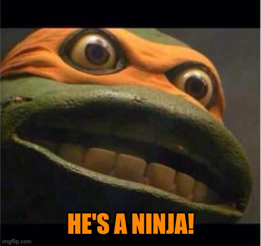 teen age mutant ninja turtle | HE'S A NINJA! | image tagged in teen age mutant ninja turtle | made w/ Imgflip meme maker