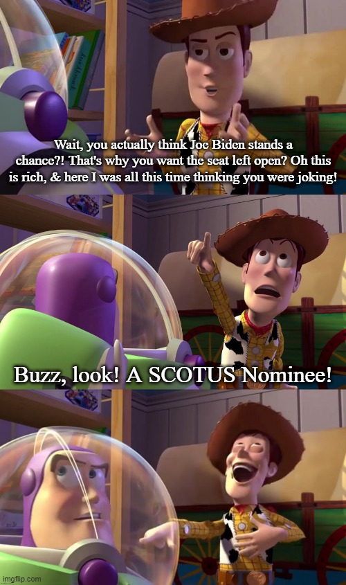 Wait, you actually think Joe Biden stands a chance?! That's why you want the seat left open? Oh this is rich, & here I was all this time thinking you were joking! Buzz, look! A SCOTUS Nominee! | image tagged in toy story funny scene | made w/ Imgflip meme maker