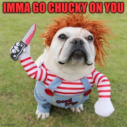 KILLER DOGGY | IMMA GO CHUCKY ON YOU | image tagged in dogs,funny dogs,halloween,spooktober | made w/ Imgflip meme maker