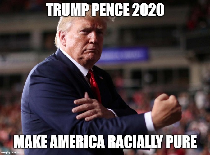 Trump: Make America Racially Pure... | TRUMP PENCE 2020; MAKE AMERICA RACIALLY PURE | image tagged in racehorse,race,purity,white supremacy,politics,discrimintion | made w/ Imgflip meme maker