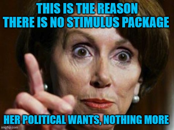 Even 18 democrats have come out and called her on this. | THIS IS THE REASON THERE IS NO STIMULUS PACKAGE; HER POLITICAL WANTS, NOTHING MORE | image tagged in nancy pelosi no spending problem | made w/ Imgflip meme maker