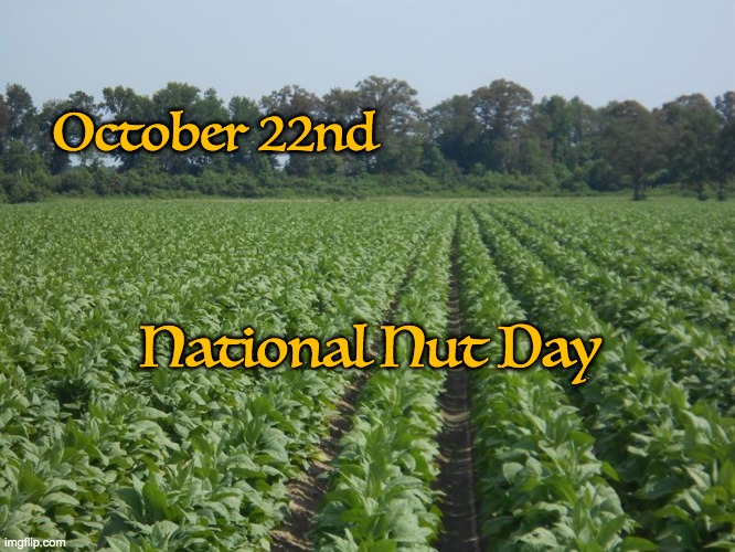 October 22nd; National Nut Day | image tagged in peanuts,farm,farmers,national nut day | made w/ Imgflip meme maker