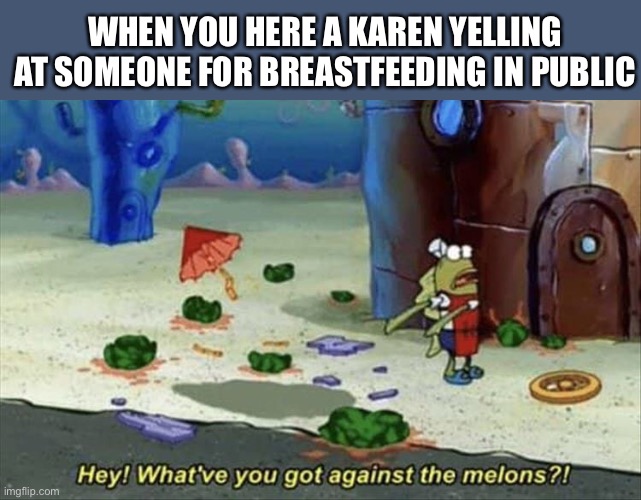Don’t hate on the melons | WHEN YOU HERE A KAREN YELLING AT SOMEONE FOR BREASTFEEDING IN PUBLIC | image tagged in melons,karen,breast feeding,public,yelling,memes | made w/ Imgflip meme maker