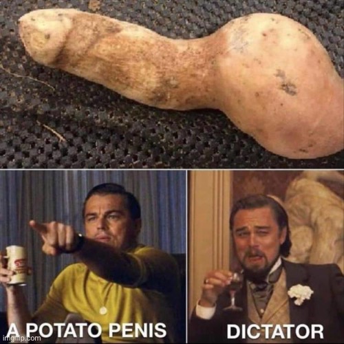 What is it? | image tagged in potato,penis,dictator,leonardo dicaprio cheers,leonardo dicaprio pointing,memes | made w/ Imgflip meme maker