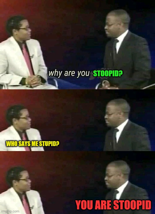 STOOPID? WHO SAYS ME STUPID? YOU ARE STOOPID | image tagged in why are you gay | made w/ Imgflip meme maker