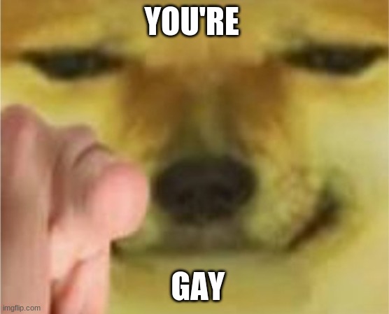 E | YOU'RE; GAY | image tagged in doge | made w/ Imgflip meme maker
