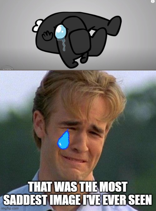 this video made me cry so much | THAT WAS THE MOST SADDEST IMAGE I'VE EVER SEEN | image tagged in memes,1990s first world problems,among us | made w/ Imgflip meme maker