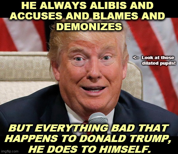 The source of all Donald Trump's problems is Donald Trump. | HE ALWAYS ALIBIS AND 
ACCUSES AND BLAMES AND 
DEMONIZES; <--  Look at those 
dilated pupils! BUT EVERYTHING BAD THAT 
HAPPENS TO DONALD TRUMP, 
HE DOES TO HIMSELF. | image tagged in trump dilated alibi excuse,excuses,blame,accused,problems | made w/ Imgflip meme maker