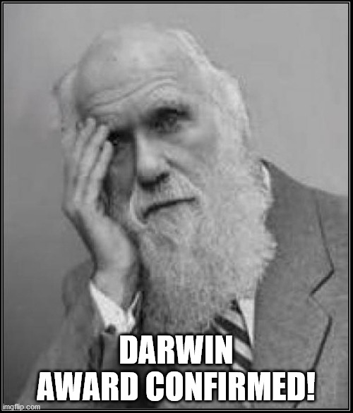 darwin facepalm | DARWIN AWARD CONFIRMED! | image tagged in darwin facepalm | made w/ Imgflip meme maker