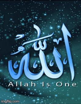 image tagged in gifs | made w/ Imgflip images-to-gif maker