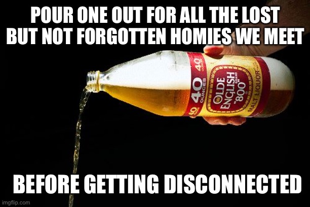 Pour one for the homies | POUR ONE OUT FOR ALL THE LOST BUT NOT FORGOTTEN HOMIES WE MEET; BEFORE GETTING DISCONNECTED | image tagged in pour one for the homies | made w/ Imgflip meme maker