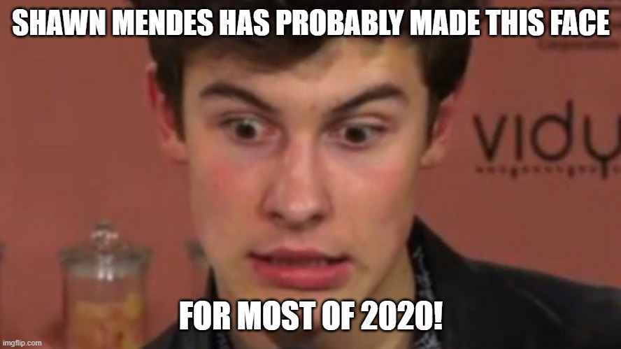 Shawn Mendes 2020 | SHAWN MENDES HAS PROBABLY MADE THIS FACE; FOR MOST OF 2020! | image tagged in shawn mendes,2020,funny,lol,wonder,camila cabello | made w/ Imgflip meme maker