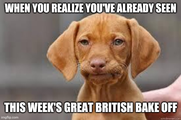 Great British Bake Off | WHEN YOU REALIZE YOU'VE ALREADY SEEN; THIS WEEK'S GREAT BRITISH BAKE OFF | image tagged in disappointed dog | made w/ Imgflip meme maker